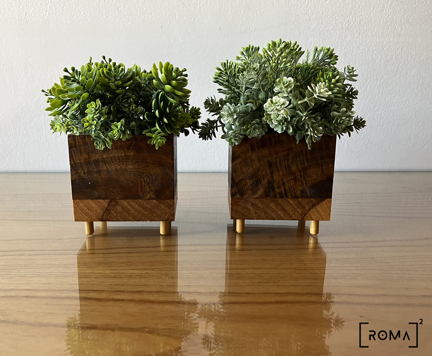 Plantas